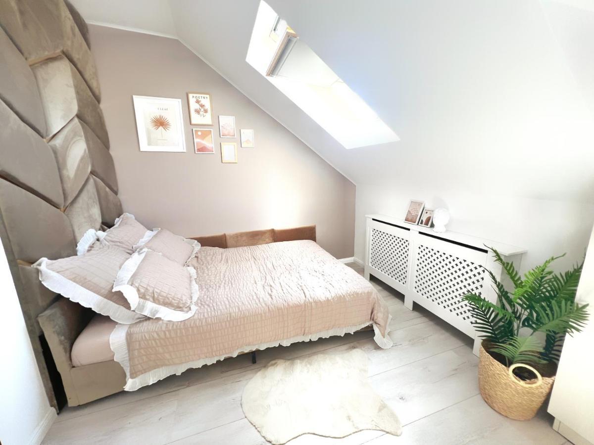 Studio Poienii - A Cozy Stay 5 Min Away From The Center Bistriţa Eksteriør billede